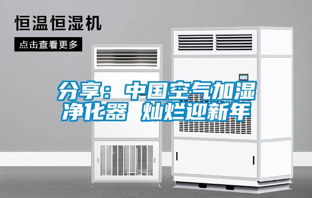 分享:中国空气加湿净化器 灿烂迎新年