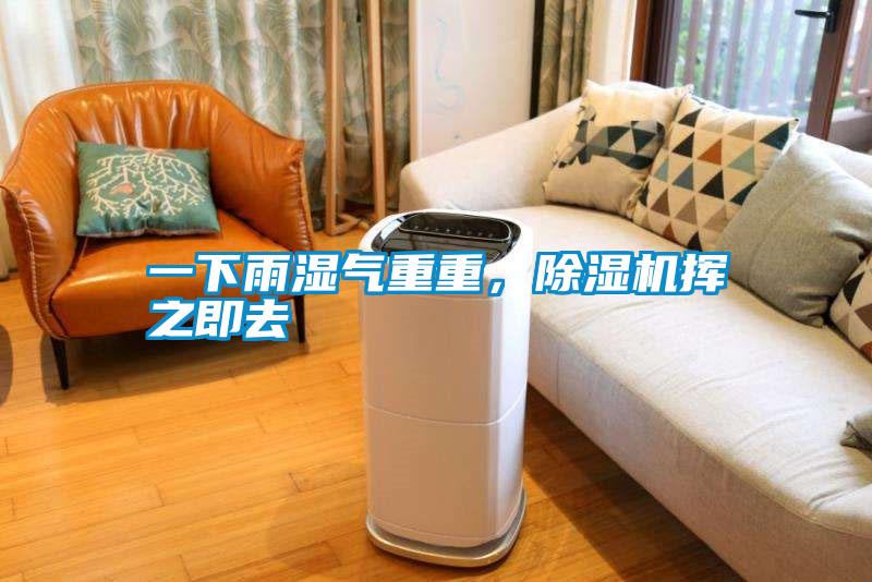 一下雨湿气重重,除湿机挥之即去