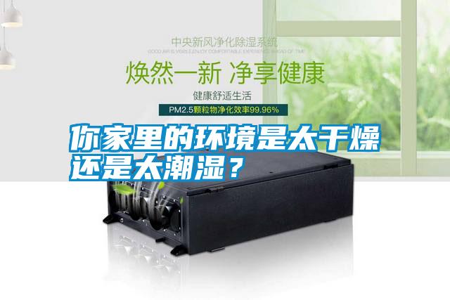 你家里的环境是太干燥还是太潮湿?