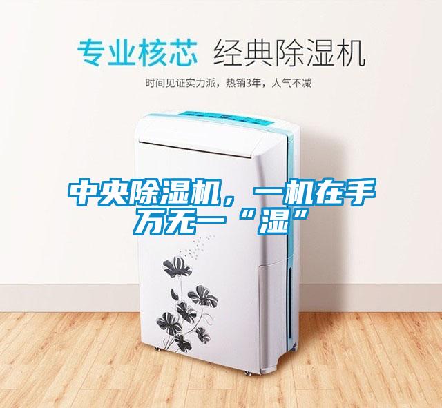 中央除湿机,一机在手万无一“湿”