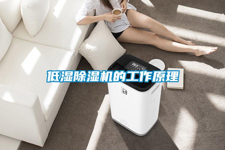 低湿除湿机的工作原理