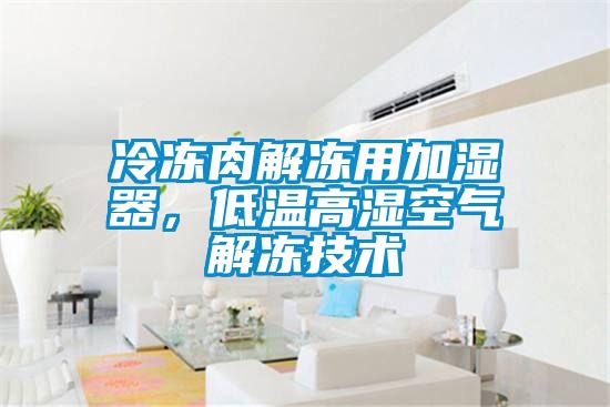 冷冻肉解冻用加湿器,低温高湿空气解冻技术
