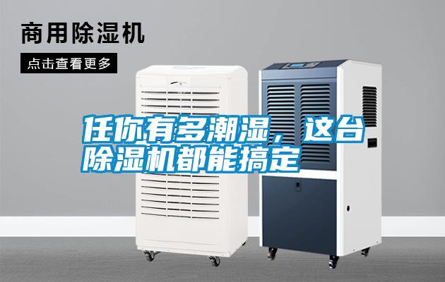 任你有多潮湿,这台除湿机都能搞定