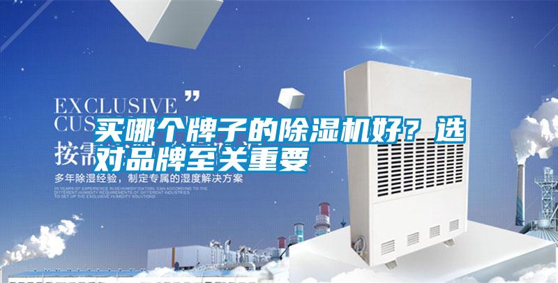 买哪个牌子的除湿机好?选对品牌至关重要