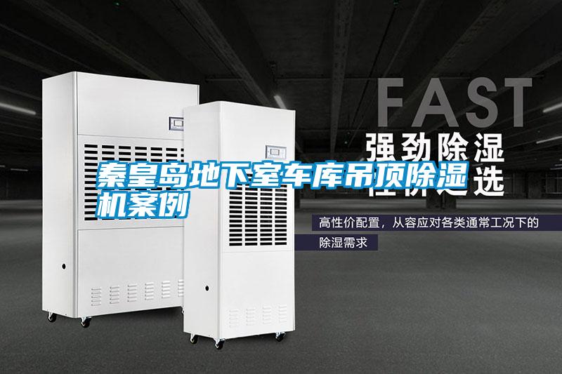 秦皇岛地下室车库吊顶除湿机案例