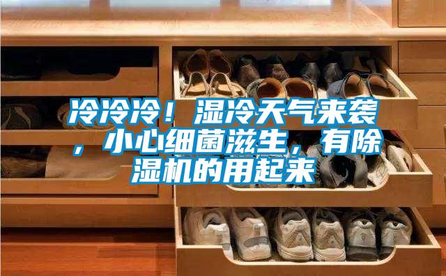 冷冷冷!湿冷天气来袭,小心细菌滋生,有除湿机的用起来