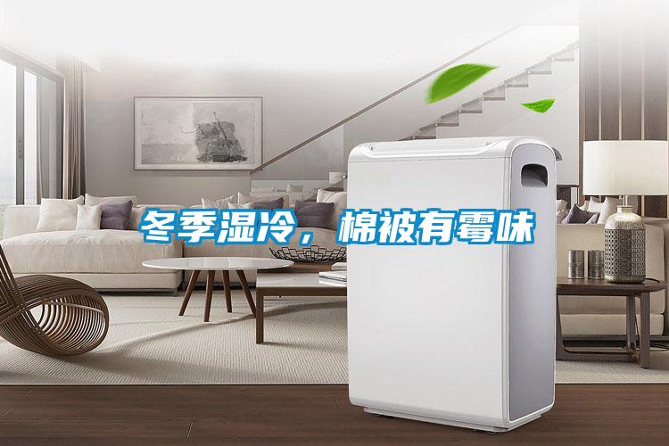 冬季湿冷,棉被有霉味
