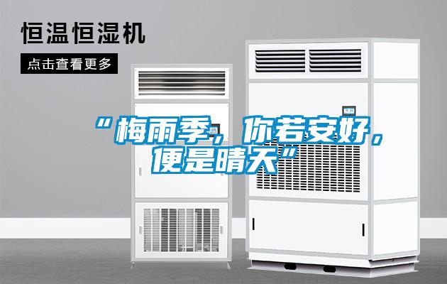 “梅雨季,你若安好,便是晴天”