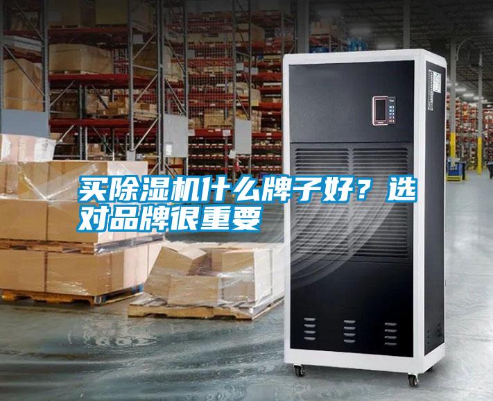 买除湿机什么牌子好?选对品牌很重要