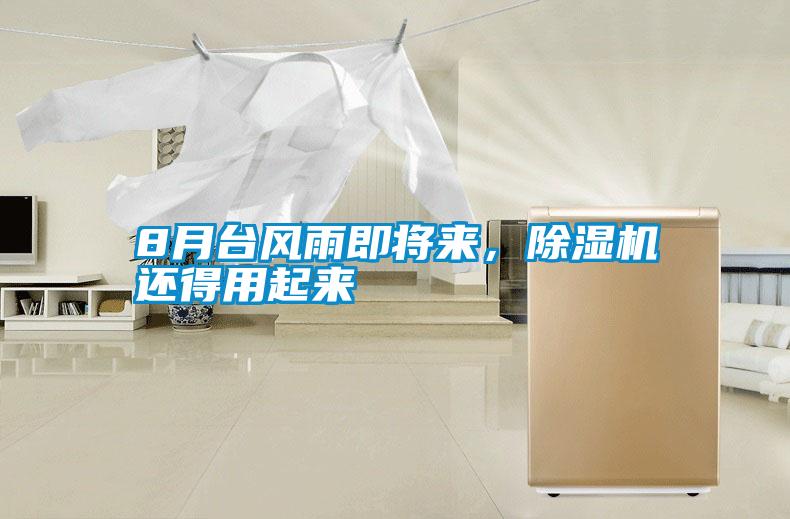 8月台风雨即将来,除湿机还得用起来