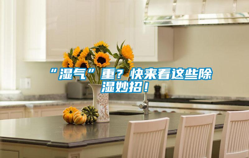 “湿气”重?快来看这些除湿妙招!