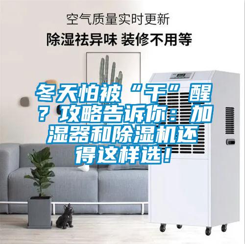 冬天怕被“干”醒?攻略告诉你:加湿器和除湿机还得这样选!