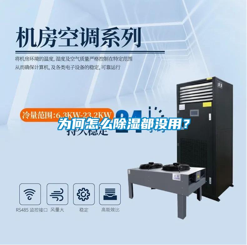 为何怎么除湿都没用?