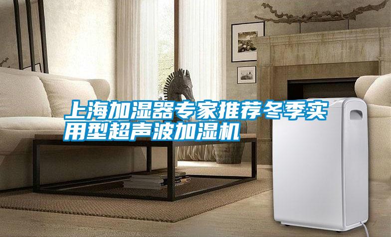 上海加湿器专家推荐冬季实用型超声波加湿机