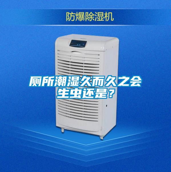 厕所潮湿久而久之会生虫还是?