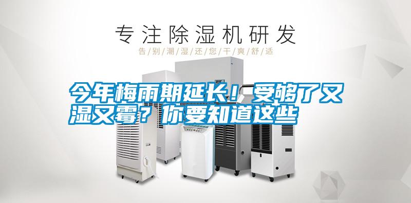 今年梅雨期延长!受够了又湿又霉?你要知道这些