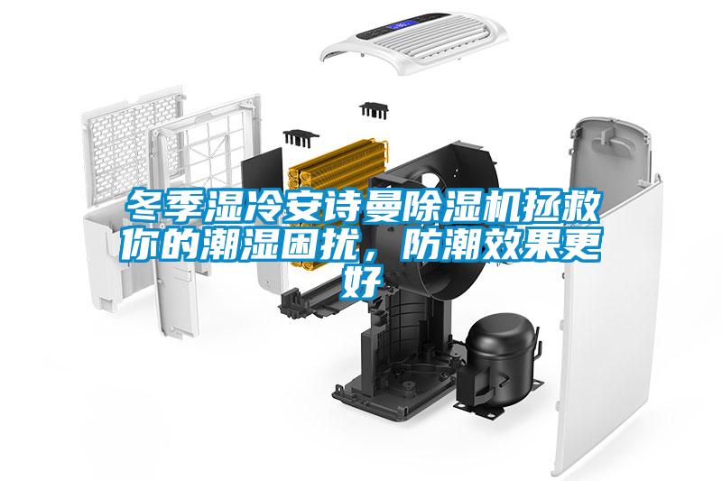 冬季湿冷安诗曼除湿机拯救你的潮湿困扰,防潮效果更好