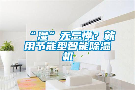 “湿”无忌惮?就用节能型智能除湿机