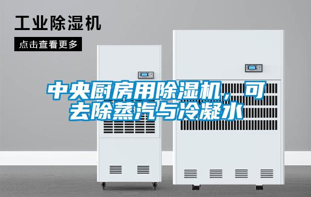 中央厨房用除湿机,可去除蒸汽与冷凝水