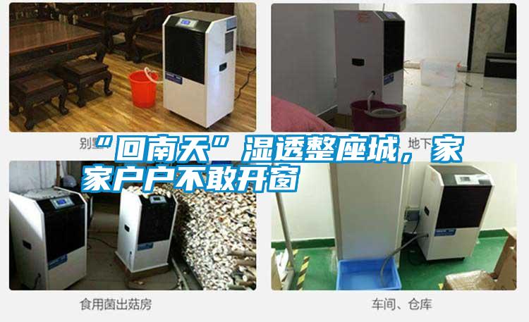 “回南天”湿透整座城,家家户户不敢开窗