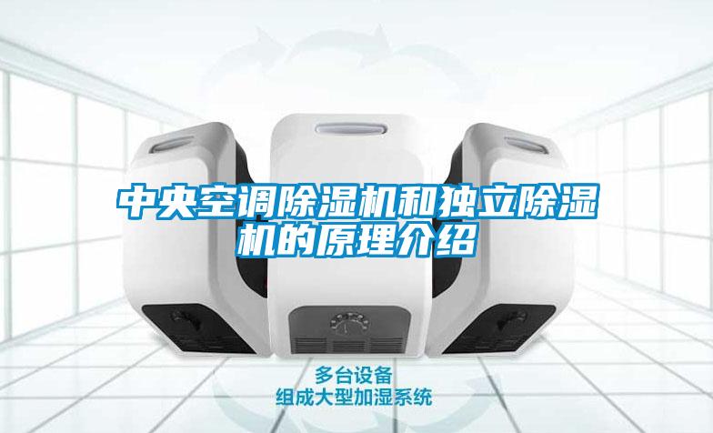 中央空调除湿机和独立除湿机的原理介绍