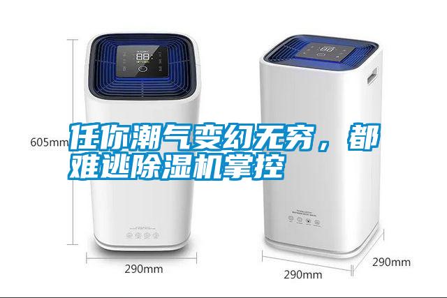任你潮气变幻无穷,都难逃除湿机掌控