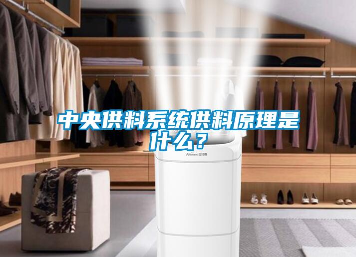 中央供料系统供料原理是什么?