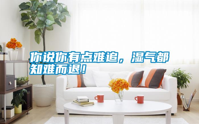 你说你有点难追,湿气都知难而退!
