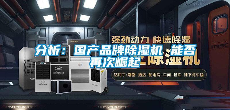 分析:国产品牌除湿机 能否再次崛起