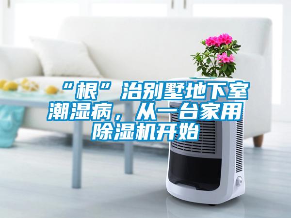 “根”治别墅地下室潮湿病,从一台家用除湿机开始