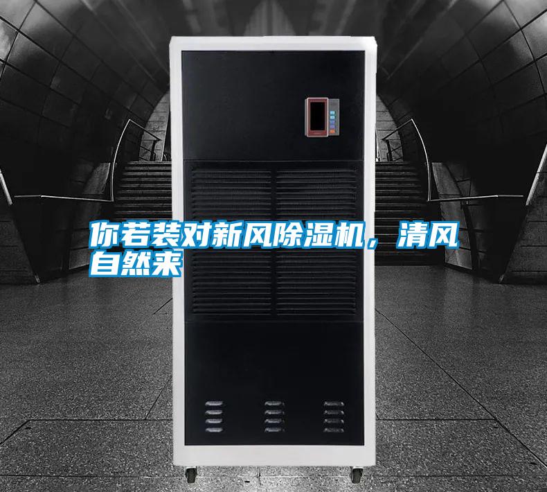 你若装对新风除湿机,清风自然来
