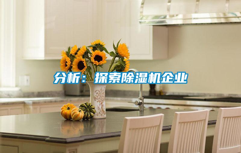 分析:探索除湿机企业