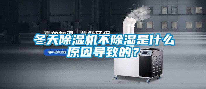 冬天除湿机不除湿是什么原因导致的?