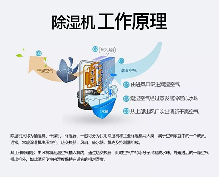 对抗梅雨天,绝不认输! 对抗梅雨天,绝不认输!