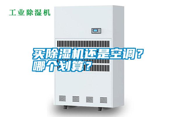 买除湿机还是空调?哪个划算?