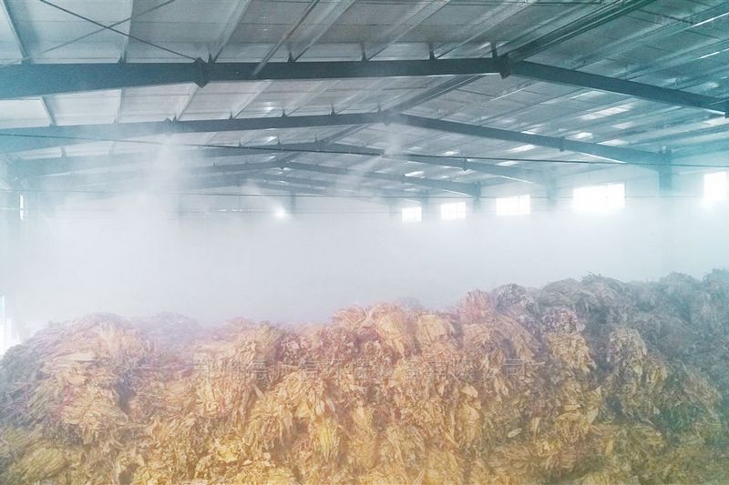 提升烟叶加工质量,高效回潮很重要 提升烟叶加工质量,高效回潮很重要