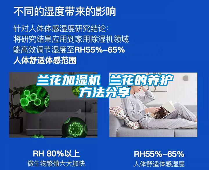 兰花加湿机 兰花的养护方法分享
