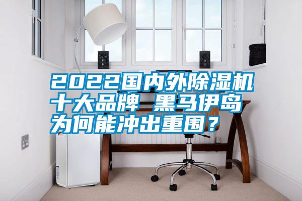 2022国内外除湿机十大品牌 黑马伊岛为何能冲出重围?