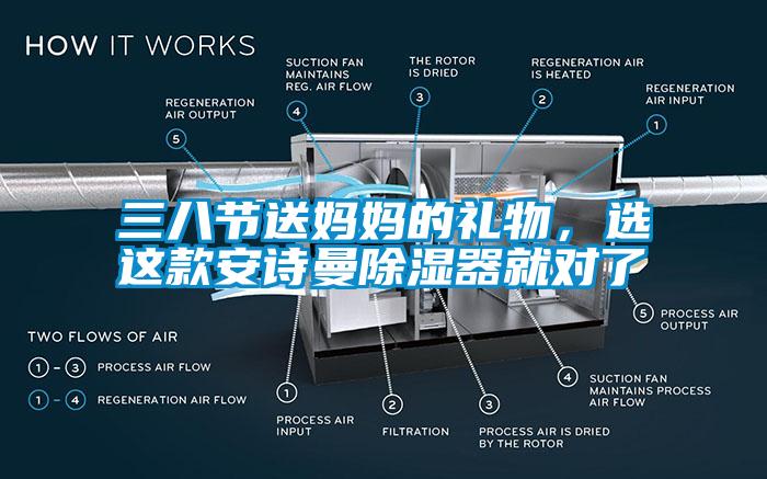 三八节送妈妈的礼物,选这款安诗曼除湿器就对了