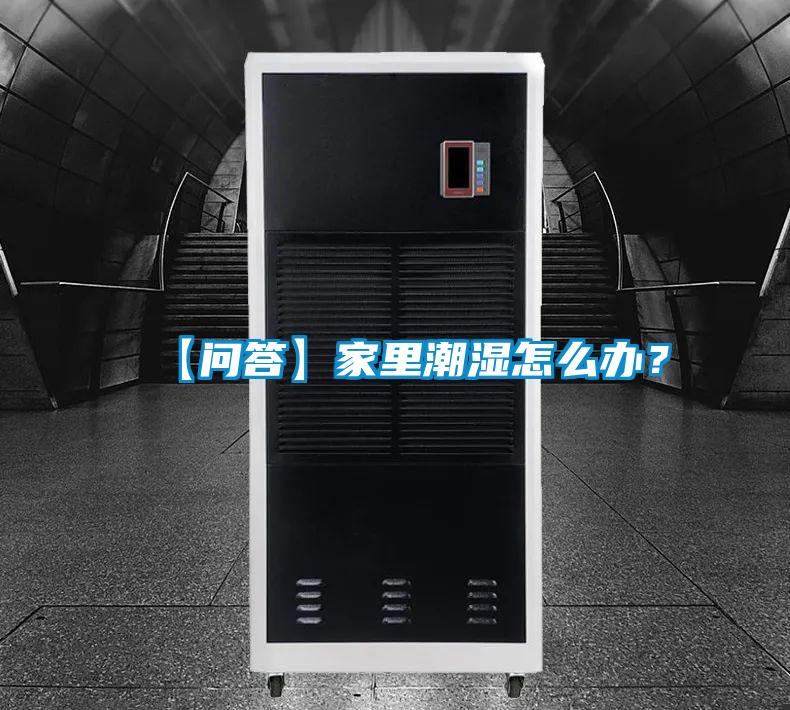 【问答】家里潮湿怎么办?