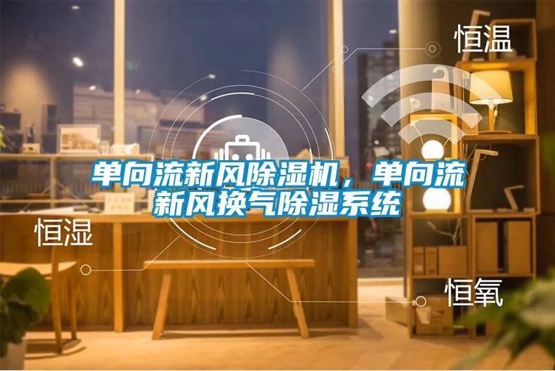 单向流新风除湿机,单向流新风换气除湿系统