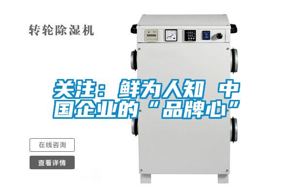 关注:鲜为人知 中国企业的“品牌心”
