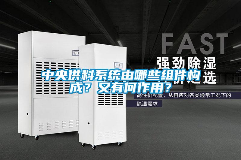 中央供料系统由哪些组件构成?又有何作用?