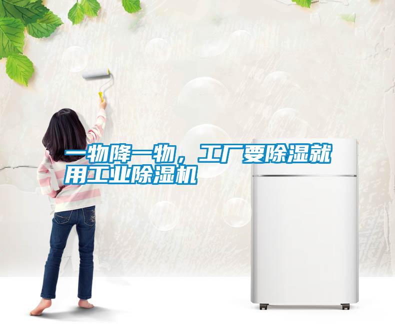 一物降一物,工厂要除湿就用工业除湿机
