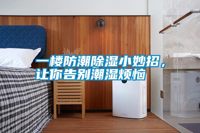 一楼防潮除湿小妙招,让你告别潮湿烦恼
