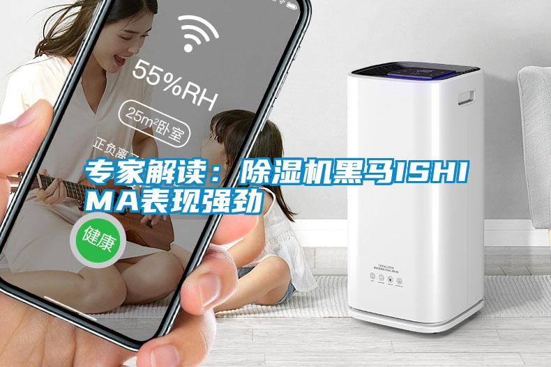 专家解读:除湿机黑马ISHIMA表现强劲