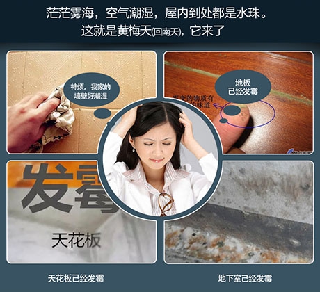 如何正确安装防爆除湿机 如何正确安装防爆除湿机