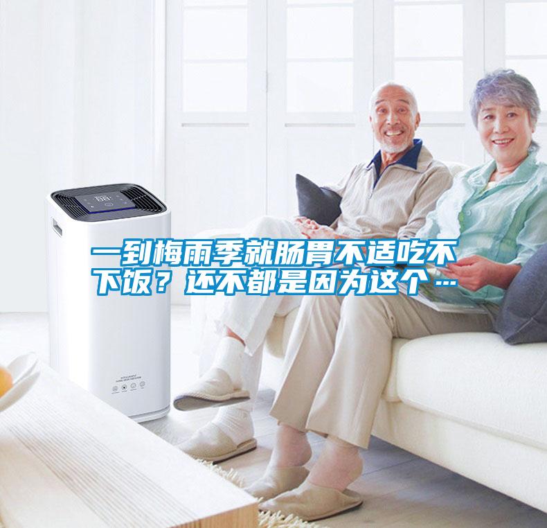 一到梅雨季就肠胃不适吃不下饭?还不都是因为这个…