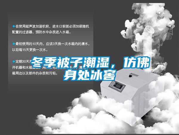 冬季被子潮湿,仿佛身处冰窖