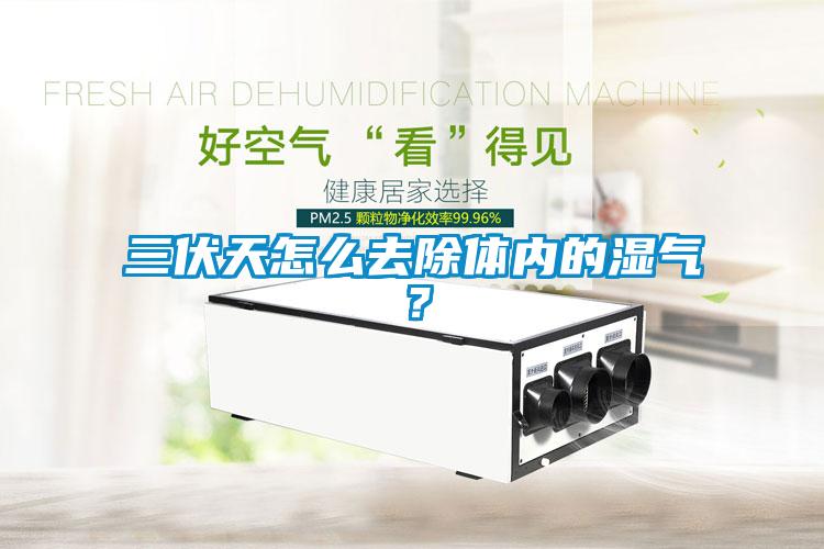 三伏天怎么去除体内的湿气?